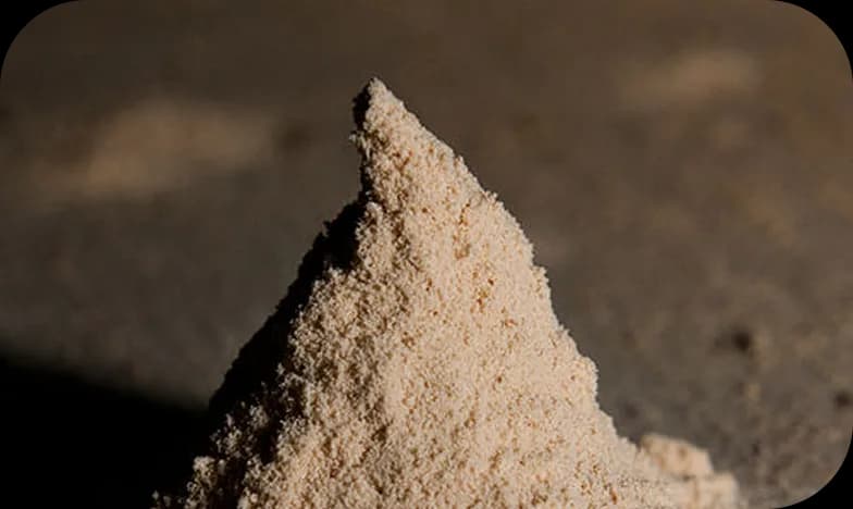 Poudre fine de bois vermoulu