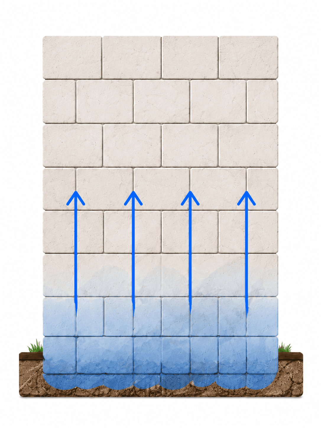 Mur adapté pour un inverseur de polarité (humidité ascensionnelle modérée)