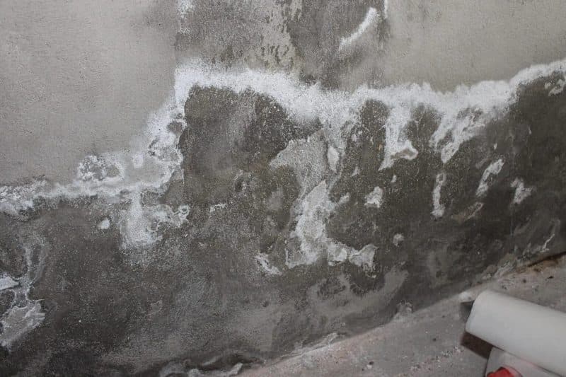 Salpêtre sur un mur