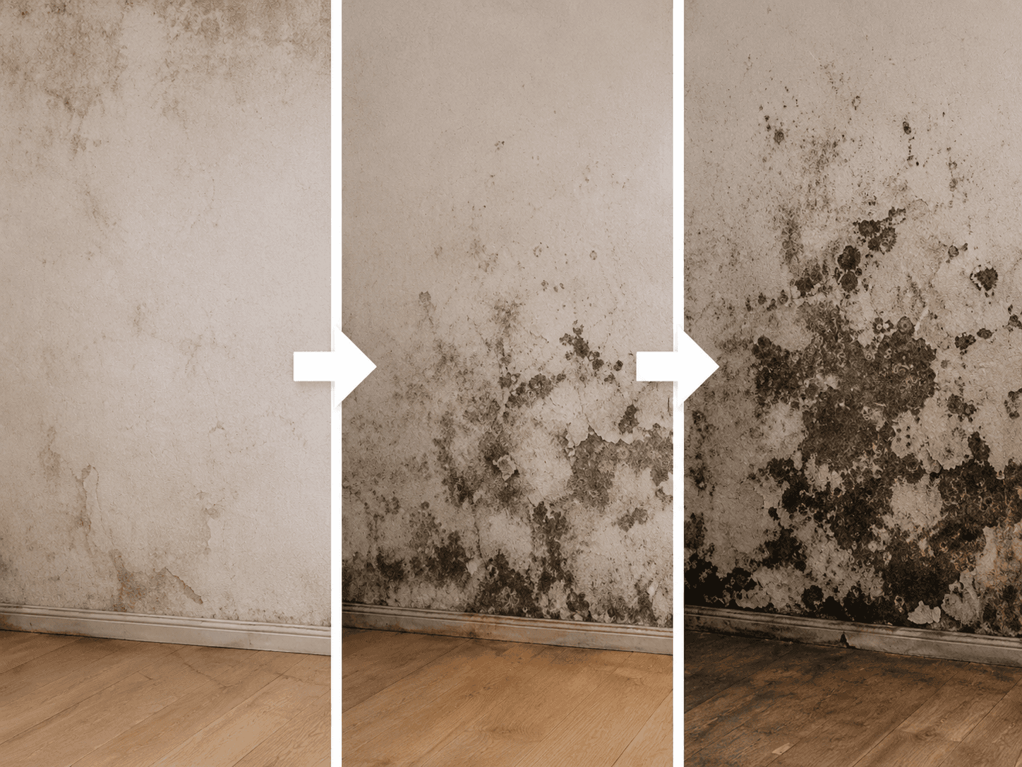 Mur dégradé par l’humidité qui s’aggrave avec le temps